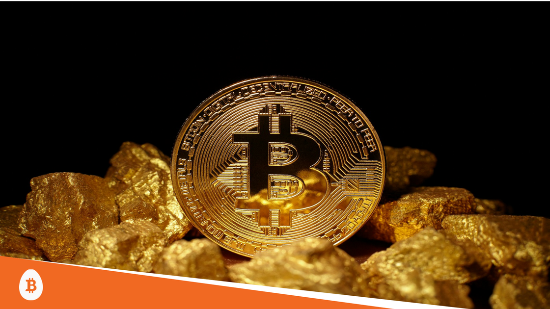 Bitcoin Cash or Gold