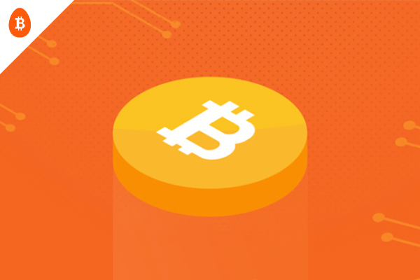 A cartoon bitcoin sits on an orange background