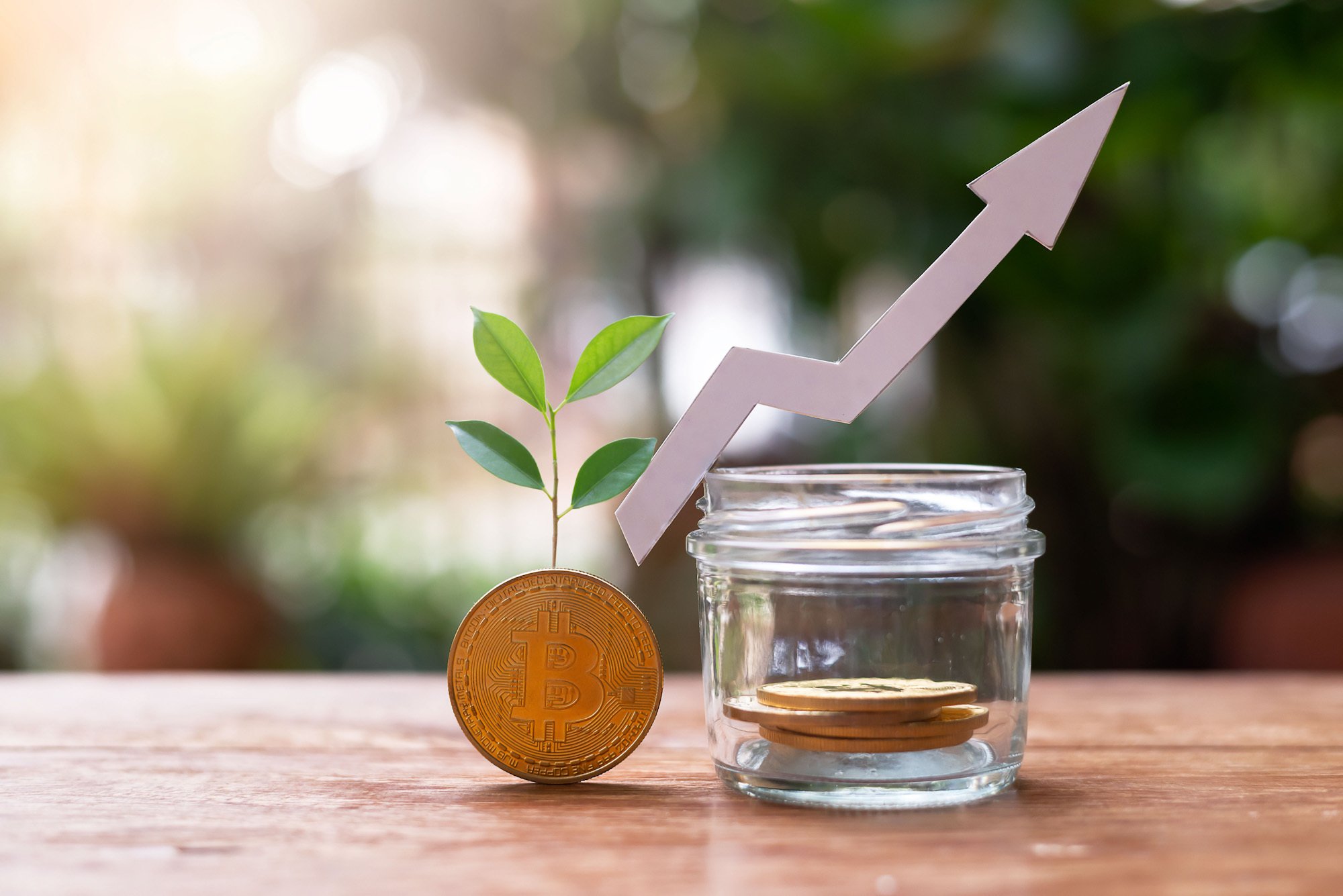 A Bitcoin with a small plant growing out of it next to a cup of water. A chart graphic implying positive growth is above the Bitcoin and cup.