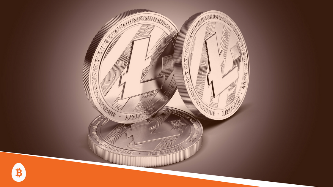 A physical litecoin is propped up by another litecoin