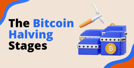 Bitcoin Halving Stages